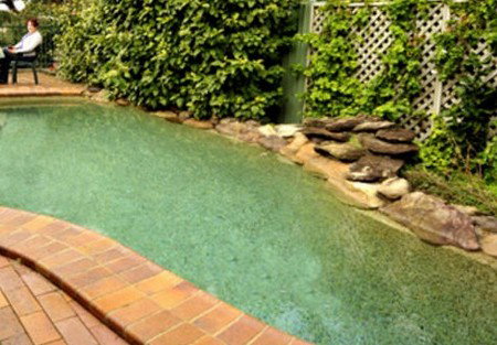 Newcomen Bed And Breakfast - Accommodation Whitsundays 2