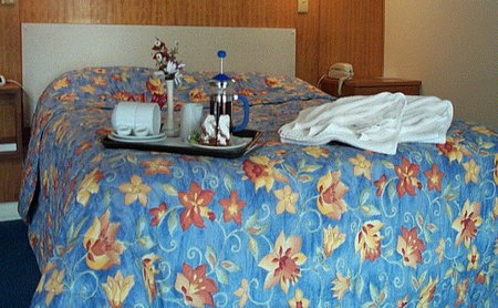 Bandicoot Motor Inn - Accommodation Whitsundays 2