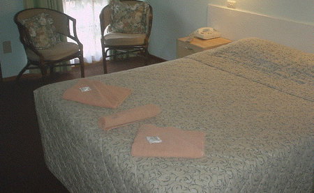 Bandicoot Motor Inn - Accommodation Whitsundays 4