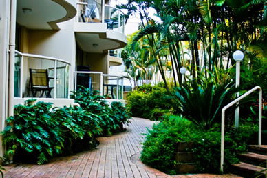 Miami Beachside Apartments - Accommodation Whitsundays 9
