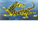 Dragon Phoenix Motel & Restuarant - Accommodation Whitsundays 0