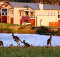 Grand Mercure The Vintage Hunter Valley - Accommodation Whitsundays
