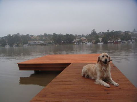 Eleven From The Left - Accommodation Whitsundays 0