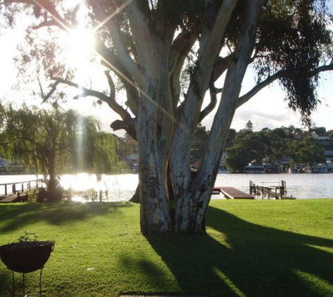 Eleven From The Left - Accommodation Whitsundays 1