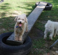 Beenleigh Pet Motel - Accommodation Whitsundays