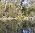 Sanctuary House Resort Motel - Healesville - Accommodation Whitsundays 5