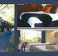 The Albany - Accommodation Whitsundays