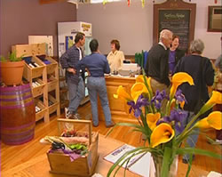 Settlers Ridge Organic Wines - Accommodation Whitsundays 0