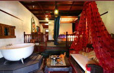 Casuarina Country Inn - Accommodation Whitsundays 3