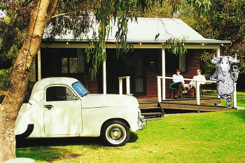 Taunton Farm Holiday Park - Accommodation Whitsundays 1