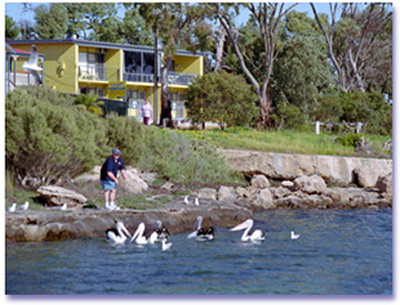 Almonta Holiday Apartments - Accommodation Whitsundays 0