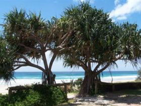 Pacific Surf Absolute Beachfront Apartments - Accommodation Whitsundays 0