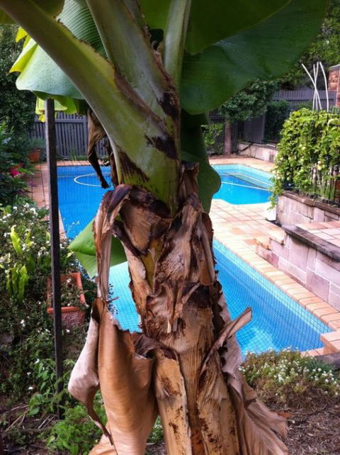 Bardon B&B - Accommodation Whitsundays 5
