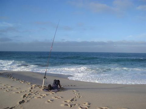 Kalbarri Accommodation Service - Accommodation Whitsundays 7