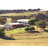 Sun Valley Eco Farm - Accommodation Whitsundays