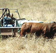 Bullo River Station - Accommodation Whitsundays
