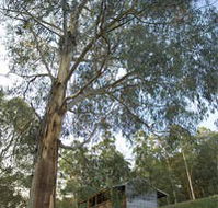 Outpost Restaurant - Accommodation Whitsundays