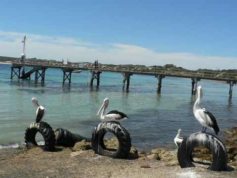 Fareview Beach House - Accommodation Whitsundays 3