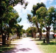 Bathers Paradise Caravan Park - Accommodation Whitsundays