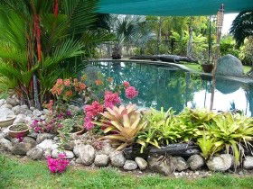 Daintree Wild Bed And Breakfast - Accommodation Whitsundays 0