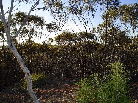 Cuballing ACT Accommodation Whitsundays