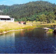 Millybrook Lodge - Accommodation Whitsundays