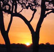 Coodardie Station Stay - Accommodation Whitsundays