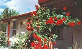 Epping Forest TAS Accommodation Whitsundays
