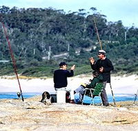 Binalong Bungalows - Accommodation Whitsundays