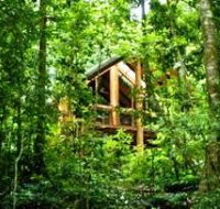 Fur'N'Feathers Rainforest Tree Houses - Accommodation Whitsundays