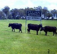 Cluan Homestead