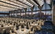 Hyatt Regency Sydney - thumb 26