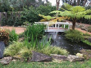 Checkers Resort & Conference Centre - Accommodation Whitsundays 20