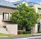 Quest Maitland Serviced Apartments - Accommodation Whitsundays