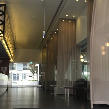 Best Western Premier Hotel 115 Kew - Accommodation Whitsundays 24