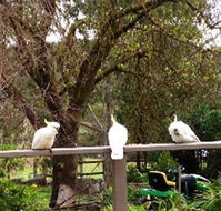 Australian Home Away  Wonga Park Brushy Creek