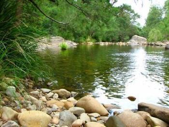 Riverwood Downs Mountain Valley Resort - Accommodation Whitsundays 9