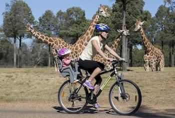 Zoofari Lodge, Taronga Western Plains Zoo - Accommodation Whitsundays 7