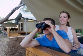 Zoofari Lodge, Taronga Western Plains Zoo - Accommodation Whitsundays 12