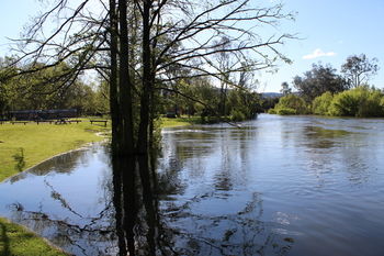 Riverglade Caravan Park - Accommodation Whitsundays 11