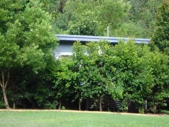 Mapleton Cabins & Caravan Park - Accommodation Whitsundays 12