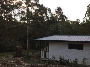 Mapleton Cabins & Caravan Park - Accommodation Whitsundays 19
