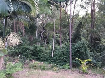 Mapleton Cabins & Caravan Park - Accommodation Whitsundays 27