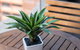 ABC Accommodation - 534 Flinders - thumb 9