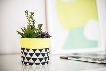 Apartment2c - Metro - Accommodation Whitsundays 12