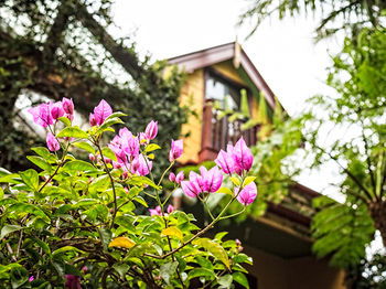 The Regents Park - Accommodation Whitsundays 3