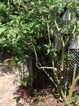 The Regents Park - Accommodation Whitsundays 54
