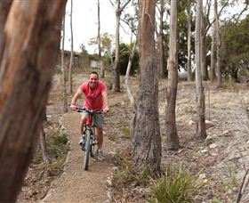 Tranquil Point Retreat - Accommodation Whitsundays 1