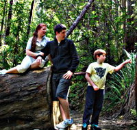 Tahune Airwalk Lodge - Accommodation Whitsundays