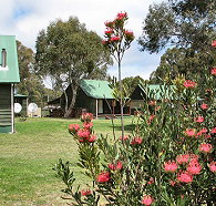 Derwent Bridge Chalets  Studios